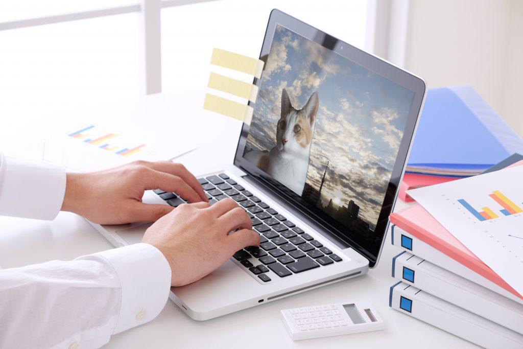 Portfolio_21『カメラと写真』 画像合成