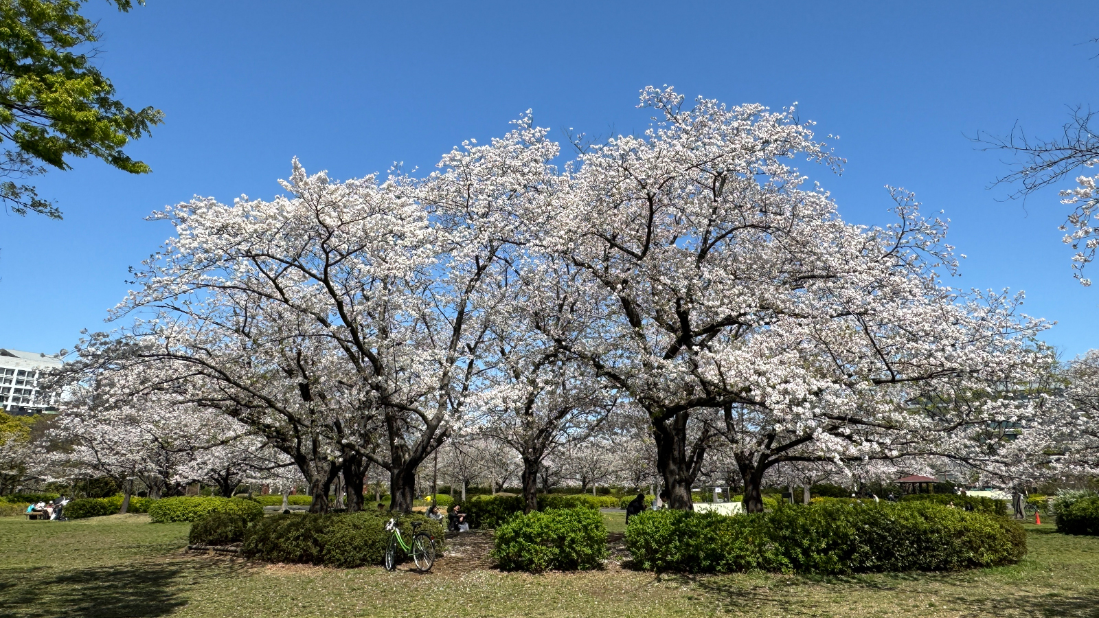 2025_0409(水) 実技ECサイトデザイン実習⑤