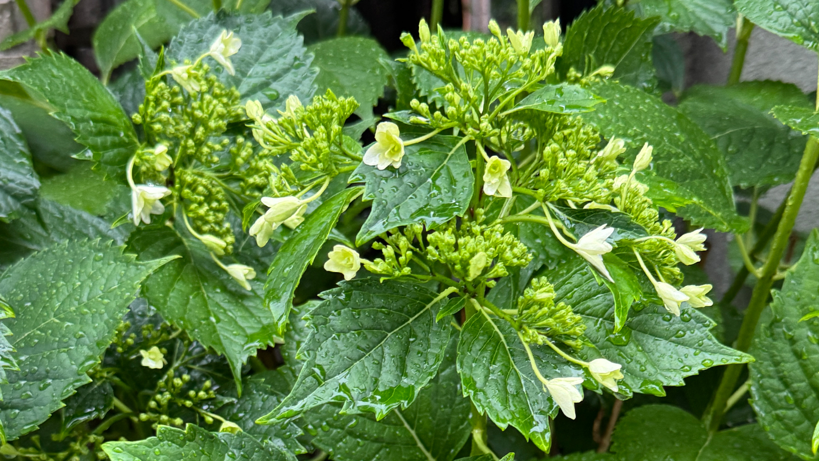 2025_0516(金) 学科 UXデザイン基礎