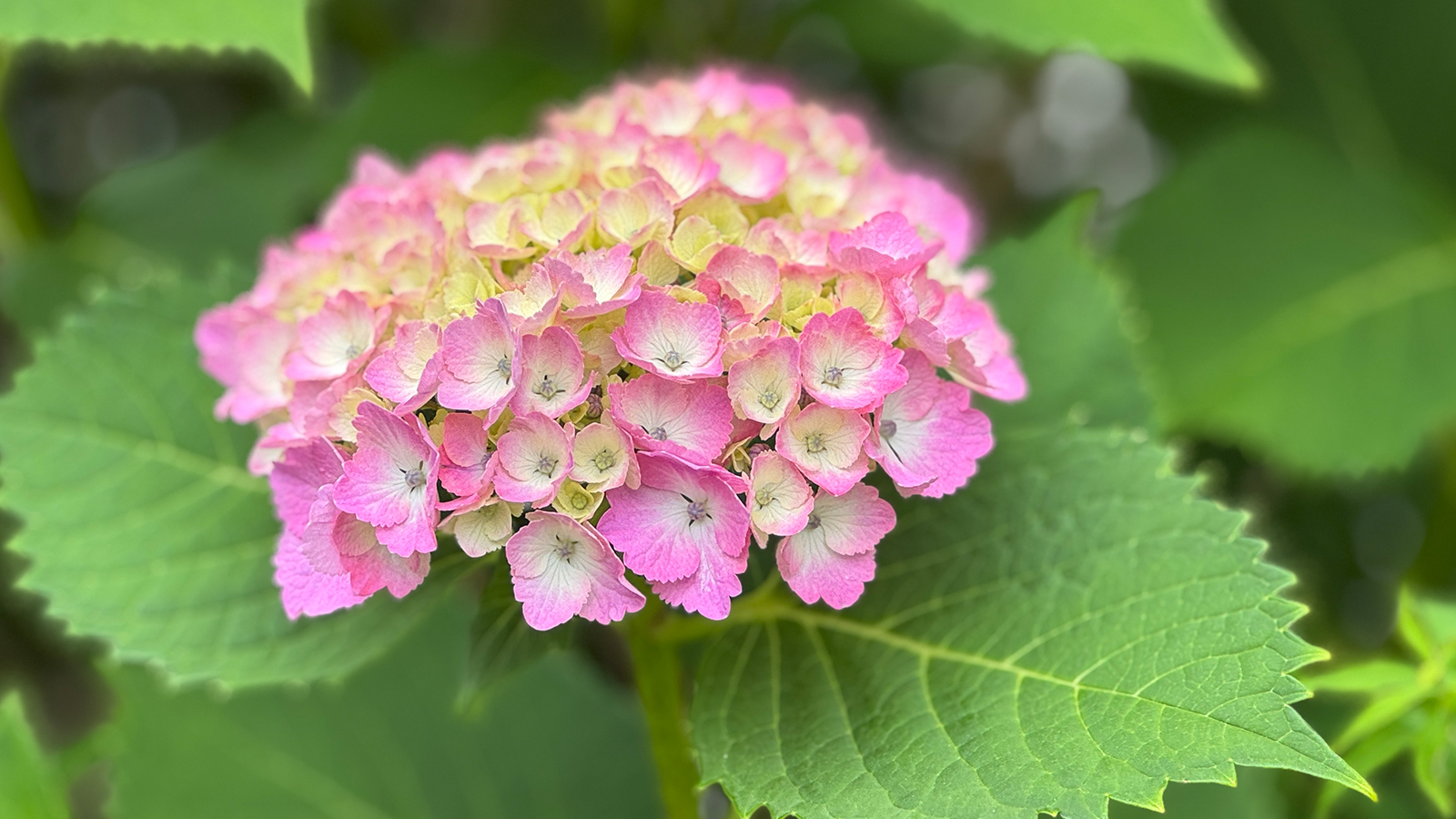 2025_0530(金) 学科 生成AI基礎②