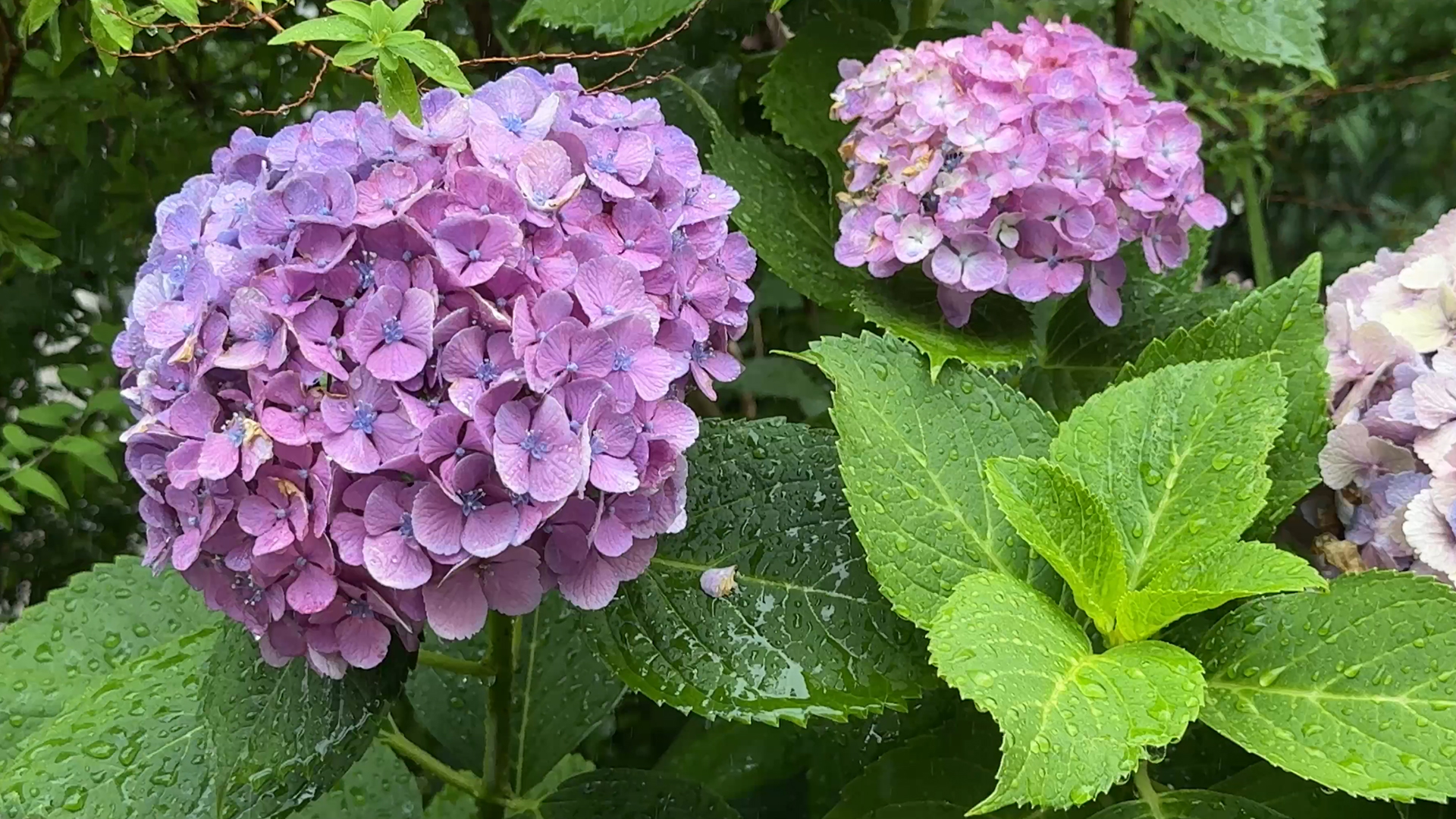 2025_0625(水) 学科 アニメーション制作基礎②