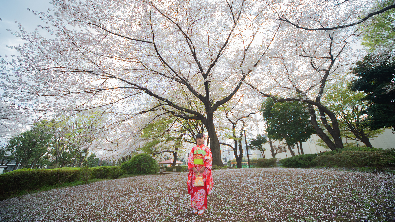 Photo Album “Snap Photography”